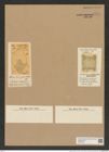 Biddulphia punctata Grev. (de-Toni-Nr.: Genus 123, Species 3477) Zeichnungen Sammlung Grunow Nr. 6974 (NHMW-BOT-W0375873)
